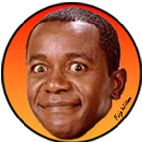 img flip wIlson